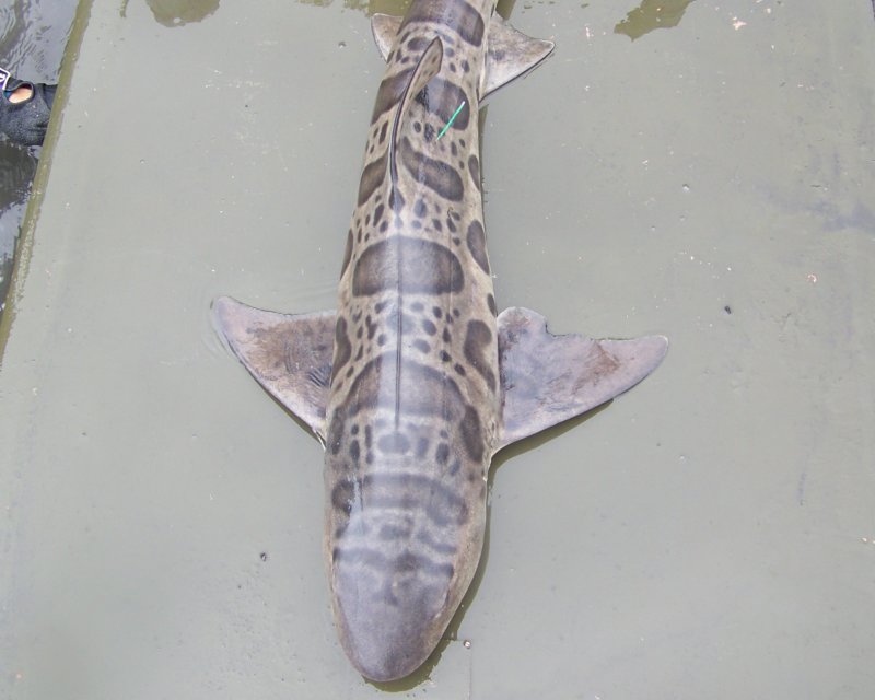 photo32.jpg