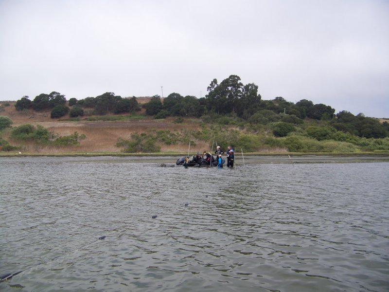 photo7.jpg