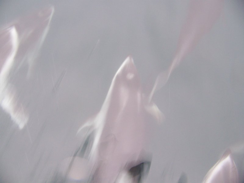 photo31.jpg