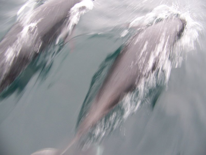 photo39.jpg
