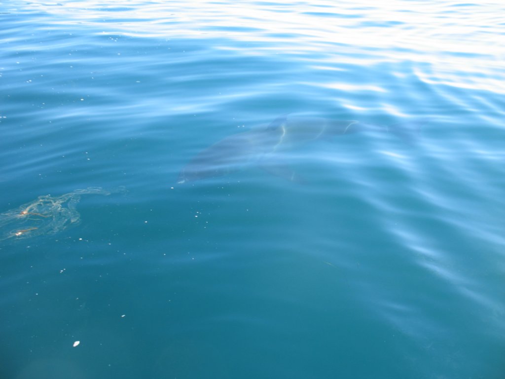 photo11.jpg