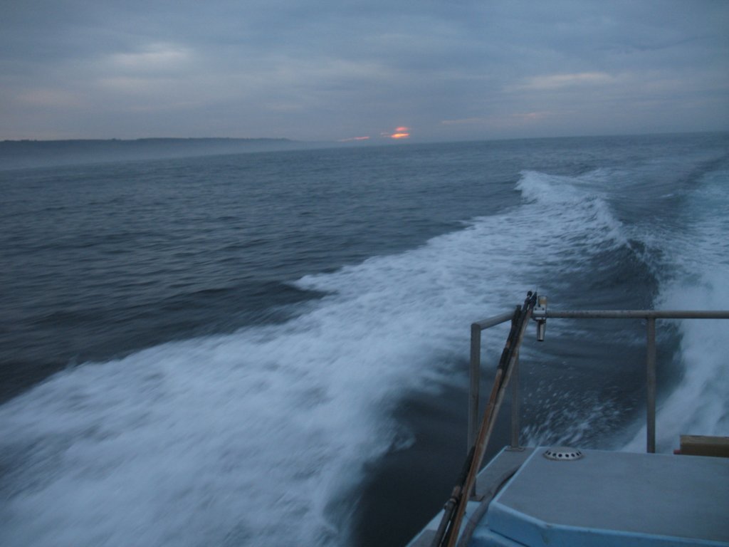photo18.jpg