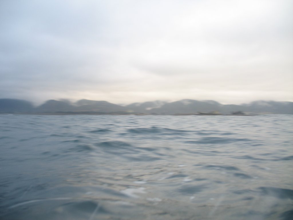 photo31.jpg