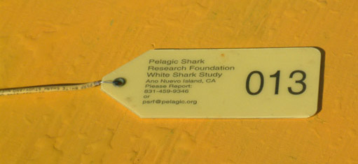 13_DSCF0501.jpg