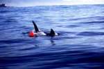 Photo Number 16