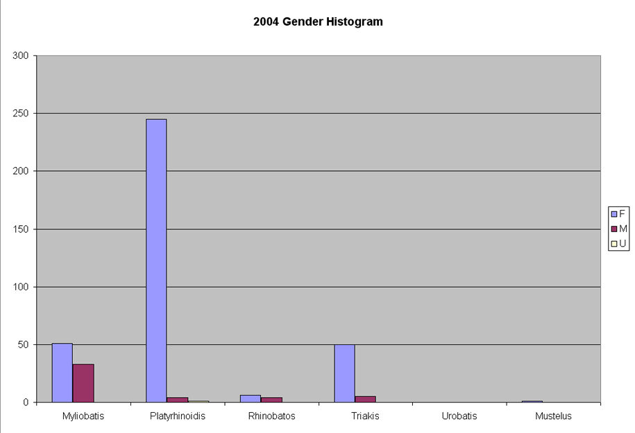 2004 Gender Histogram
