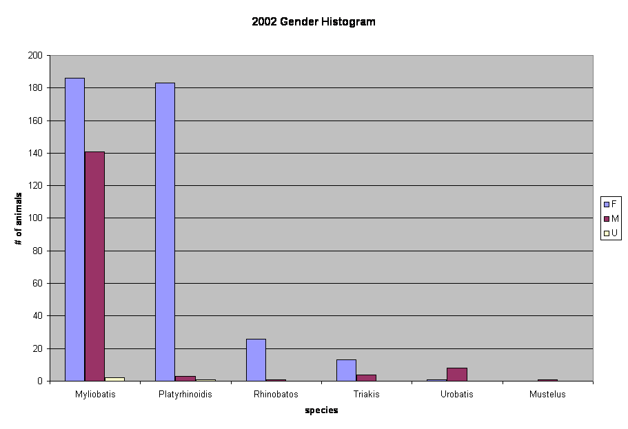 2002 Gender Histogram