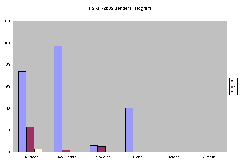 2005 Gender Histogram