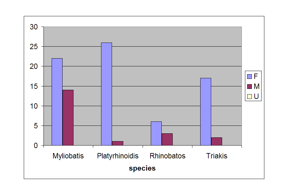 2007 Gender Histogram